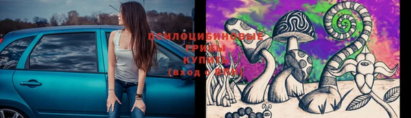 каннабис Алзамай