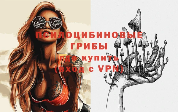 прущие крисы Аркадак